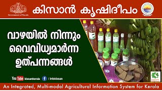 Interventions of Krishi Vigyan Kendra Alappuzha in value addition of banana [upl. by Annaej929]