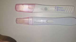 Live pregnancy Test 12 DPO [upl. by Ettelloc279]