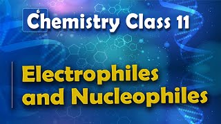 Electrophiles and Nucleophiles  Basic Principle and Techniques in Organic Chemistry  Chemistry [upl. by Seka]