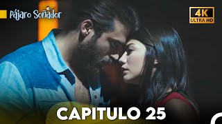 Pájaro Soñador Capítulo 25 Doblado En Español 4K [upl. by Tan]