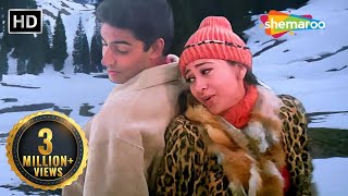 Hum Yaar Hain Tumhare  Haan Maine Bhi Pyaar Kiya 2002  Abhishek Bachchan Karishma Kapoor songs [upl. by Anilad878]