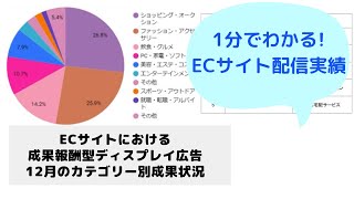 【配信実績】ECサイトにおける成果報酬型ディスプレイ広告カテゴリー別成果状況（2023年12月度） [upl. by Decca]