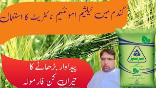 Use of Calcium Ammonium Nitrate in Wheat CropCane Gawara ka EstimalGhulam Shabeer Velogs [upl. by Sukram]