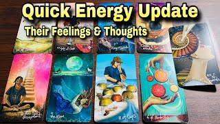 HindiUrdu  Their Feelings amp Thoughts  Quick Energy Update  Timeless Tarot ✨💫 [upl. by Femi]