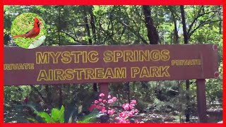 Mystic Springs Private Campground in the Florida Panhandle [upl. by Ornas961]