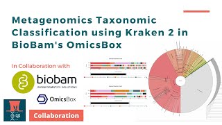 Metagenomics Taxonomic Classification using Kraken 2 in BioBams OmicsBox [upl. by Morris174]