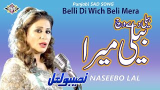 Bele De Vich Beli Mera Punjabi Song Naseebo lal [upl. by Ing]