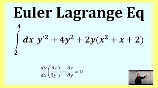 Euler Lagrange Equations [upl. by Ydnat]