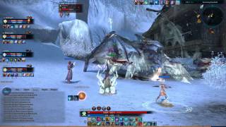 TERA BAM hunting Frygaras [upl. by Uzziel567]