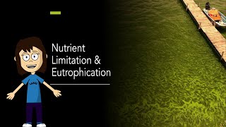 Limnology  Nutrient limitation and eutrophication [upl. by Geanine192]