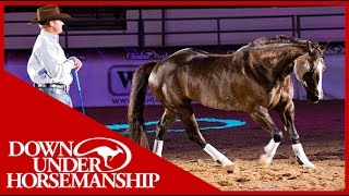 Clinton Anderson with his amazing horse quotMindyquot in Vegas 2010 [upl. by Jessalyn714]