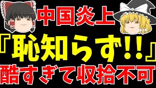 【アジアカップ】中国レバノン相手にもやらかしてブチギレ大炎上海外の反応【ゆっくりサッカー日本代表解説】 [upl. by Lraed]