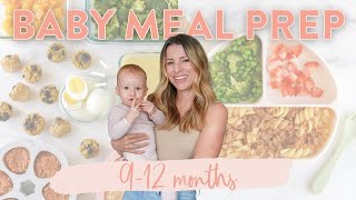 BABY FOOD MEAL PREP 912 MONTHS  FREE Downloadable Guide amp Recipes [upl. by Aynekat736]