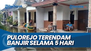 AKTIVITAS WARGA LUMPUH Puluhan Rumah di Pulorejo Kota Mojokerto Terendam Banjir [upl. by Abad418]