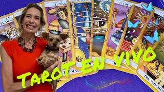 Tarot en vivo lecturadetarot tarotdirecto horoscopo [upl. by Aseeral]