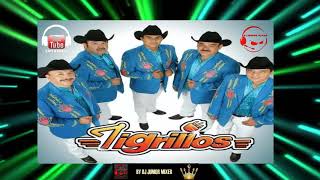 TIGRILLOS  CUMBIAS CON GARRAS MIX BY DJ JUNIOR MIXER [upl. by Derrek]