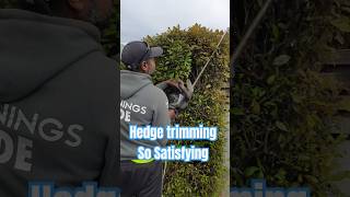 So satisfying headgear trimming travelwithkapil gardening satisfyin viralshorts nzadventures [upl. by Woody]