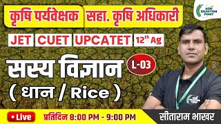 3  फसलोत्पादन  धान की फसल  Agri Supervisor  12th Ag  JET  CUET ASP Coaching Jaipur [upl. by Bertelli]