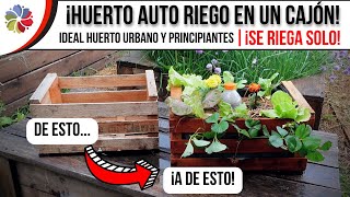 💦 MACETA AUTORIEGO con un CAJÓN de VERDURAS  Ideal HUERTO URBANO y PRINCIPIANTES [upl. by Maxy628]