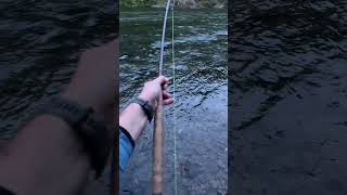 Fly fishing for Atlantic Salmon on the Gaspe Peninsula shorts flyfishing fishing [upl. by Odnaloy]