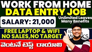 DATA ENTRY JOB  SALARY 21000Month  Permanent Work From Home jobsOn the Spot Test VtheTechee [upl. by Odlanyar]