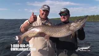 Minor Bay Lodge on Wollaston Lake Saskatchewan 2018 [upl. by Ayres94]