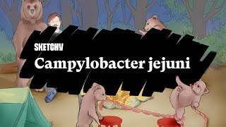 Campylobacter jejuni Causes Symptoms amp Complications Full Lesson Sketchy Medical  USMLE Step 1 [upl. by Lubba]