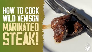 How to cook a TASTY venison steak marinade recipe [upl. by Archle327]