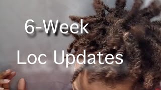 6Week Updates  My Loc Journey [upl. by Camille188]