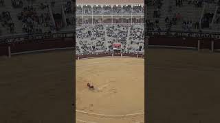 Bullfighting in Madrid Spain [upl. by Alba]