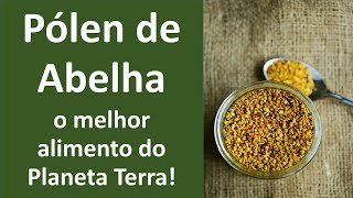 Pólen de abelha O melhor alimento da Terra  Dr Marco Menelau [upl. by Ayetal288]