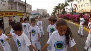 Capoeira Angola Palmares EMEB Dom Daniel Hostin Lages  SC Desfile 07 de Setembro 2014 [upl. by Sairacaz848]