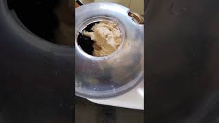 Dough Machine Review on my Channel doughmaker clearline kitchengadgets amazon shorts [upl. by Ruddie28]