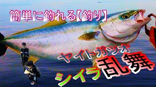 好釣果【釣り方次第】勝負の秋を攻略！大物釣りたい二人よ～秋の和歌山 [upl. by Dahsraf]