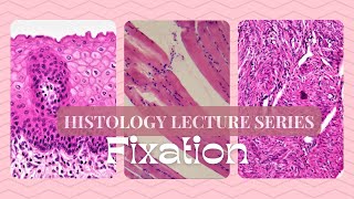 FixationHistology Lecture Series [upl. by Aihsoem]