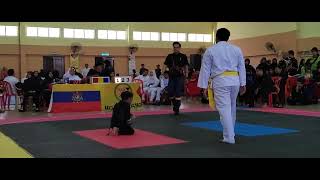 silat gayong kanakkanak [upl. by Eisoj]