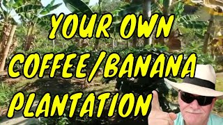 Colombian Land Coffee Bananas And A Creek  Unbeatable Deal [upl. by Elsa]