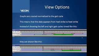 Polygon 4 tutorial  Graph Options [upl. by Aubree]