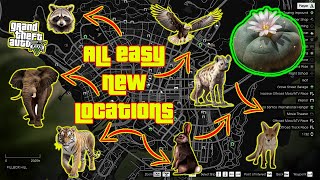 GTA V  All Easy Peyote Plants Location Guide in Story Mode XBOX PC PS4 PS5 [upl. by Bud33]