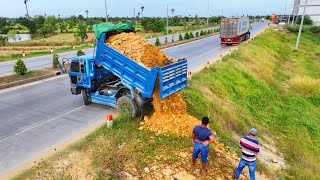 Wonderful New Project Dozer Pushing Soil Rock And 5 Ton Truck Make New Roads [upl. by Alverson]