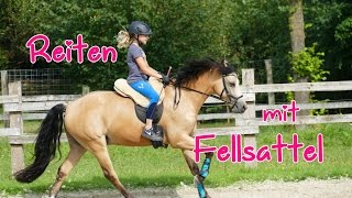 Lia amp Alfi  FMA Stallalltag und Reiten mit Fellsattel [upl. by Gaeta]