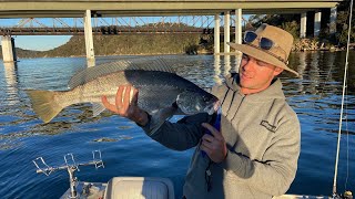 Hawkesbury River Jewfish Catch Camp amp Cook [upl. by Eelta]