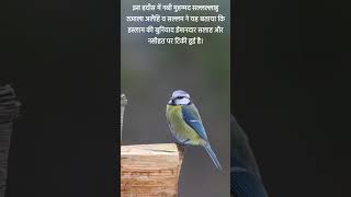 hadees ki batein Hindi mein shortvideo [upl. by Etnud659]