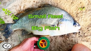 Tiny Reel  Huge Fish  Buffalo Bayou  Houston TX [upl. by Ibbetson]