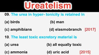 Excretory System MCQ  Ureatelism  Human Physiology  NEET 2023 [upl. by Lanni]