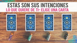 SUS INTENCIONES CONTIGO  ESTO ES LO QUE QUIERE DE TI  Tarot interactivo [upl. by Watts]