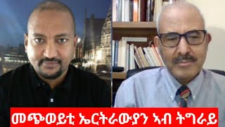 quotመጭወይቲ ኤርትራውያን ኣብ ትግራይquot ጋዜጤኛ ብርሃነ ገብረትንሳኤ Interview Berhane Gebretensae [upl. by Ellekcim572]