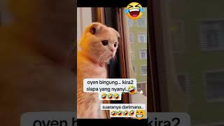 Oyen sampai plonga plongo gitu funny komedi ngakak lucu [upl. by Antipas50]