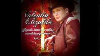 Valentin Elizalde  Esta Cobardia con acordeón tuba y guitarra [upl. by Adnalahs]