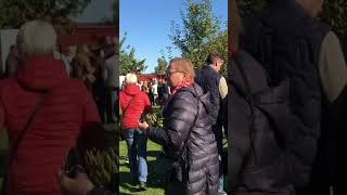 Oktoberfest Kalmar Sweden 🇸🇪 [upl. by Virginia692]